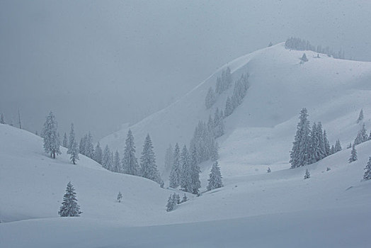 大雪,斜坡,山,巴伐利亚阿尔卑斯山,巴伐利亚,德国