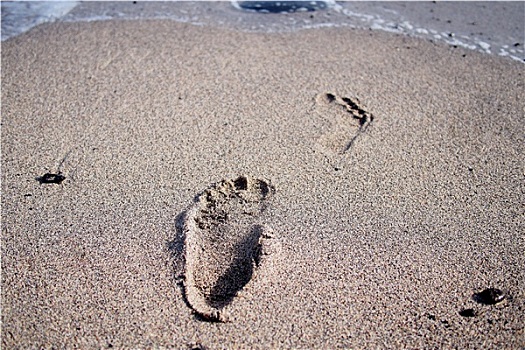 海洋,沙子,脚印