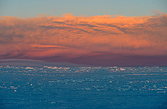 南极,威德尔海,迅速,冰,雪丘岛,背景,粉色,云,日落