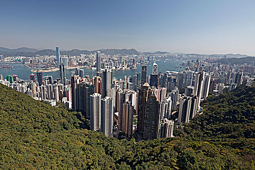 摩天大楼,市中心,维多利亚港,九龙,风景,顶峰,太平山,香港岛,香港,中国,亚洲