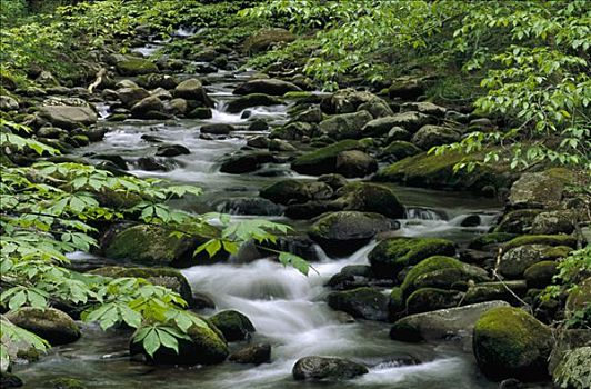 层叠,河流,大烟山国家公园,北卡罗来纳