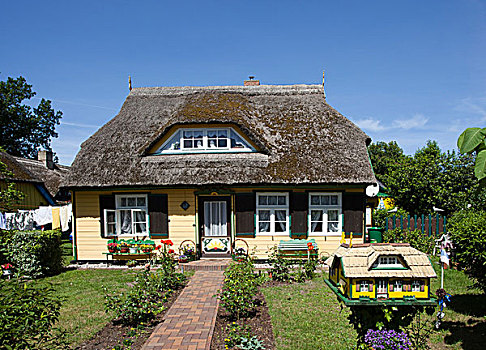 特色,茅草屋顶,房子,梅克伦堡前波莫瑞州,德国,欧洲