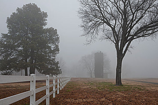栅栏,树,土地,阿肯色州,美国