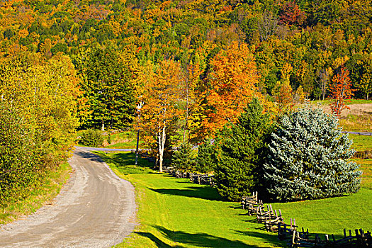 乡间小路,栏杆,铁,山,魁北克,加拿大