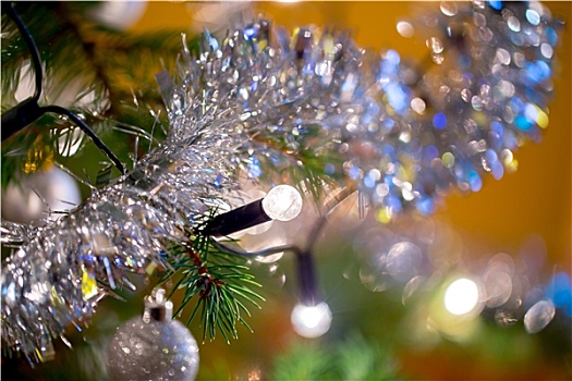 圣诞装饰,树上,亮光