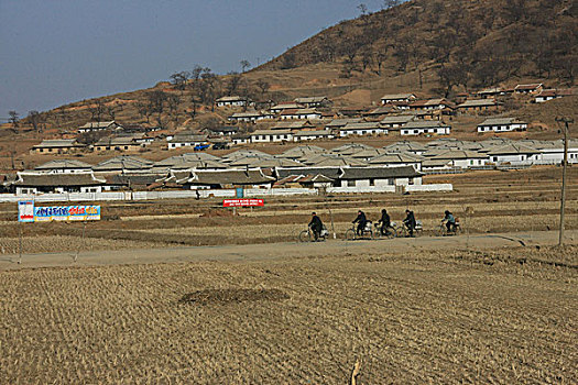 耕地,村舍,民居,房子,山