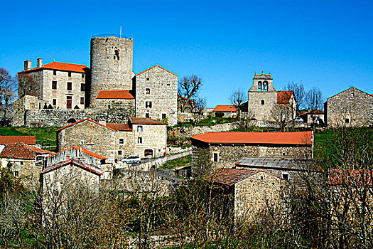 乡村,中世纪,古老,城堡,上卢瓦尔省,法国,欧洲