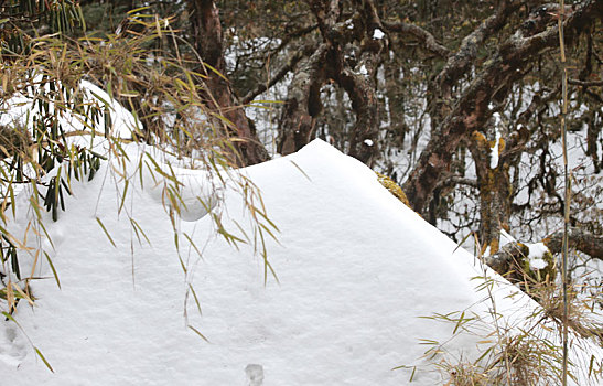 昆明,禄劝,轿子雪山,积雪