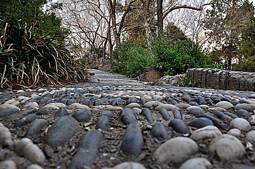 养生石子路