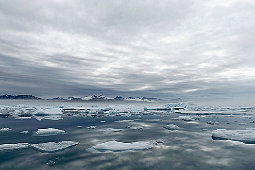 冰,约翰,峡湾,格陵兰东部,格陵兰