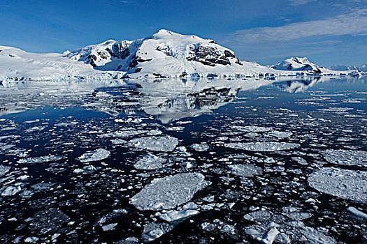 浮冰,南极半岛,南极