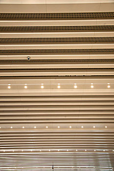 重庆国际博览中心展厅天花板