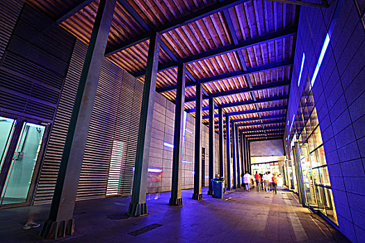2010年上海世博会世博文化中心