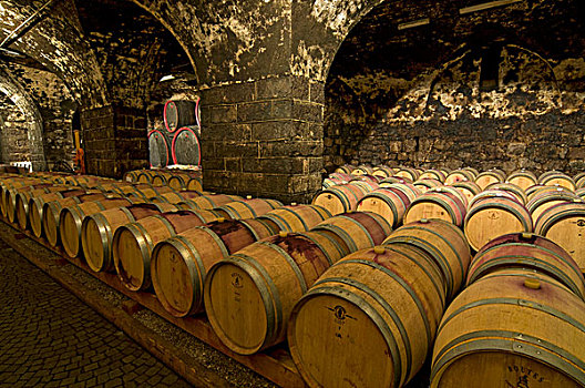 葡萄酒,陈酿,橡树,桶,拱顶,酒窖,博尔查诺,特兰提诺阿尔托阿迪杰,意大利,欧洲