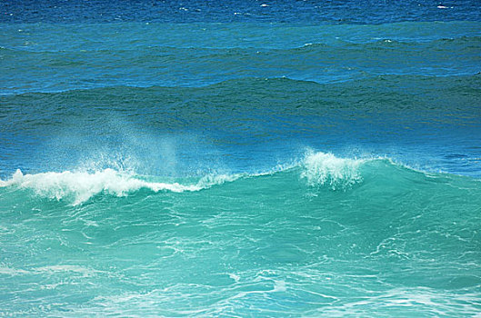波浪,海浪,靠近,波多黎各,特内里费岛,加纳利群岛,西班牙,欧洲