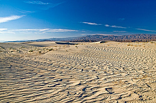 沙子,山谷,保存,加利福尼亚,美国