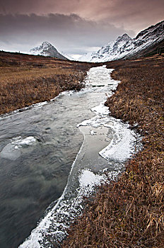 冰,形态,堤岸,南方,溪流,楚加奇州立公园,阿拉斯加,晚秋