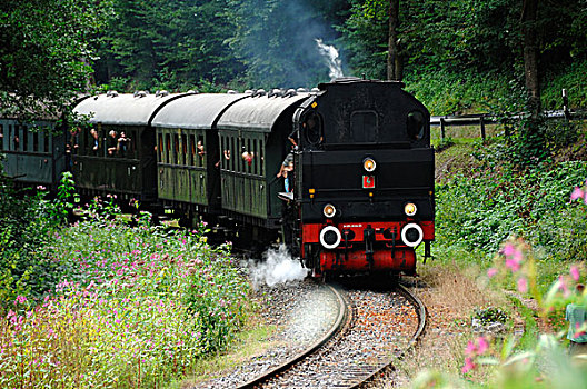 蒸汽机车,特别,旅游,弗兰哥尼阶,瑞士,上弗兰科尼亚,德国,欧洲
