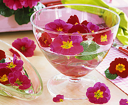 樱草属植物,玻璃碗