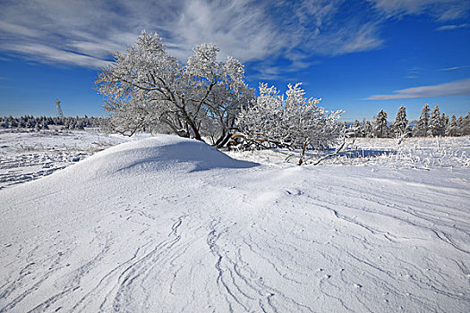 长白林海中的雪景