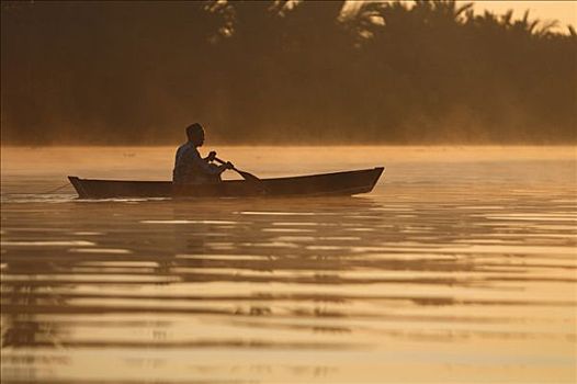 捕鱼者,独木舟,枝条,河,靠近,南,加里曼丹,婆罗洲,印度尼西亚,东南亚