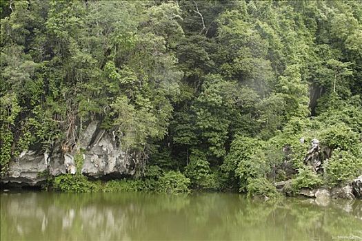 丛林,泰国