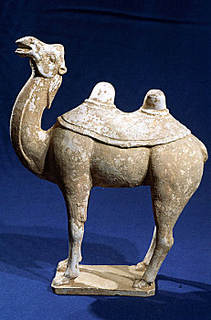 唐白陶骆驼
