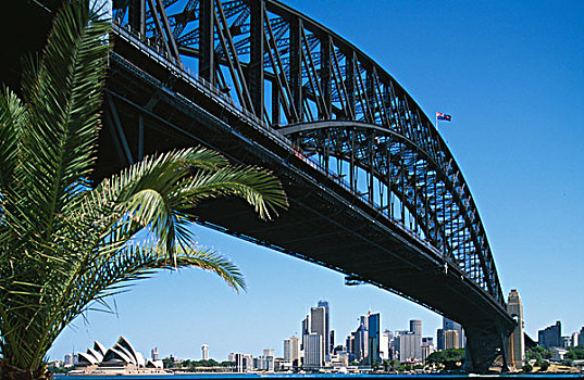 仰视,桥,悉尼港,悉尼,新南威尔士,澳大利亚