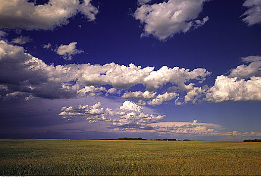 云,天空,上方,地点,萨斯喀彻温,加拿大