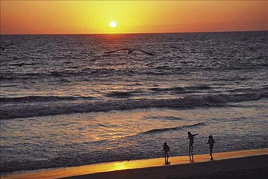 加利福尼亚,海滩,三个孩子,剪影,漂亮,日落