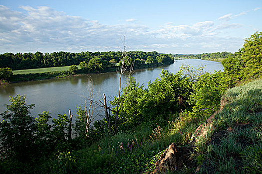河,景色,预留,安大略省,加拿大