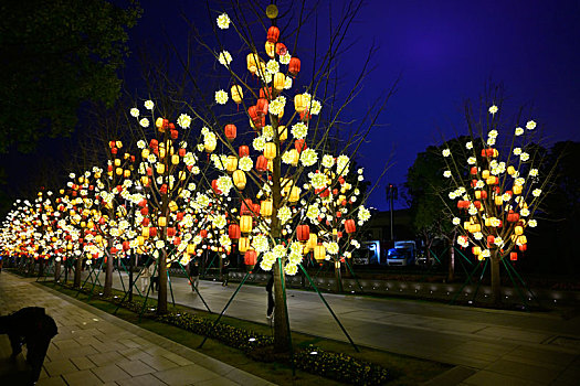 龙华灯笼夜景