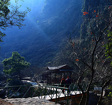 九峰山景区,山水,岩石,山,石头,树木