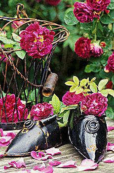 花园装饰,铁,鞋,种植器皿,铁丝篮,玫瑰