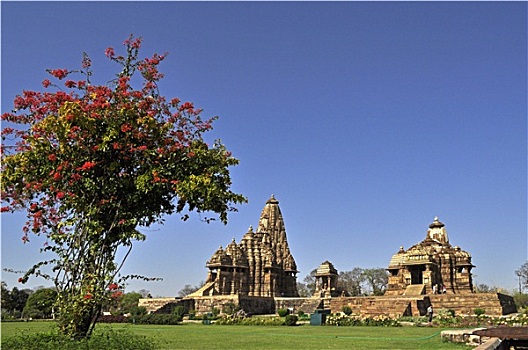 庙宇,左边,西部,克久拉霍,中央邦,印度