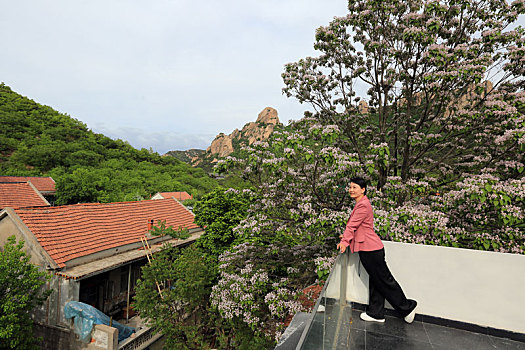 山东省日照市,藏在大山深处的民宿,成了游客的网红打卡地