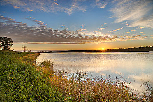 日出,上方,湿地,国家,野生动植物保护区,靠近,詹姆斯敦,北达科他,美国