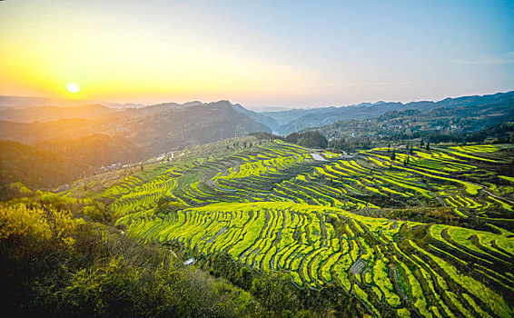 重庆酉阳,三月花海千氹田