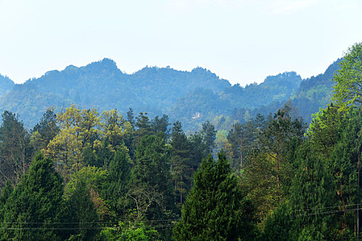 贵州凤冈,山村静美