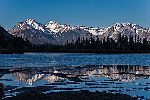 风景,弓湖,班芙国家公园,艾伯塔省,加拿大