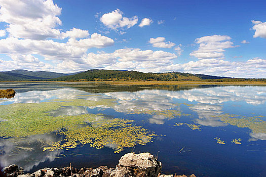 内蒙古阿尔山旅游风景区,杜鹃湖