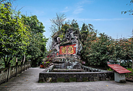 四川安岳县圆觉洞石刻景区,龟鹤,二个字为末唐高陵李时家墨迹