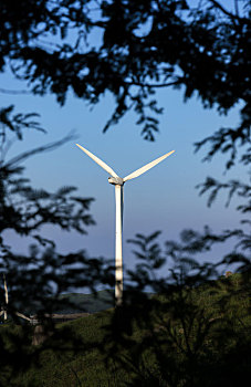 风扇,风,风力发电,风力,发电,山坡,新能源,低碳