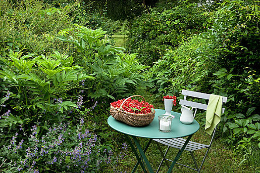 红醋栗,花园桌