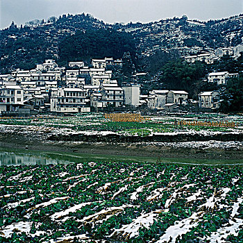 歙县新安江江边残雪