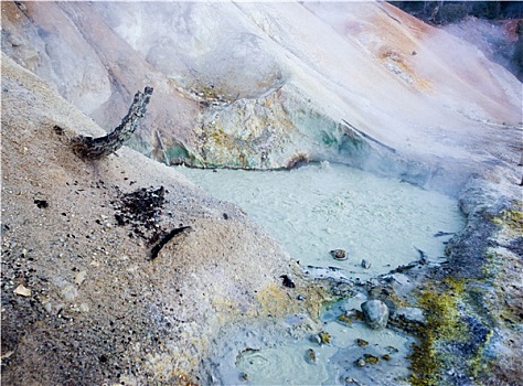 蒸汽,煮沸,热,水池,火山,区域