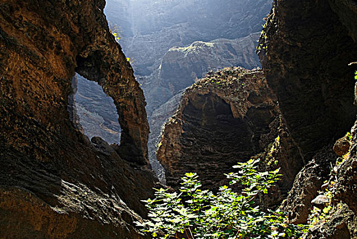 峡谷,特内里费岛,加纳利群岛,西班牙,欧洲