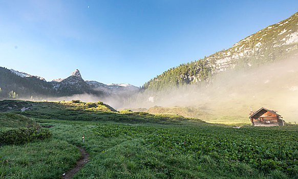 晨雾,徒步旅行,上方,国家公园,巴伐利亚,德国,欧洲