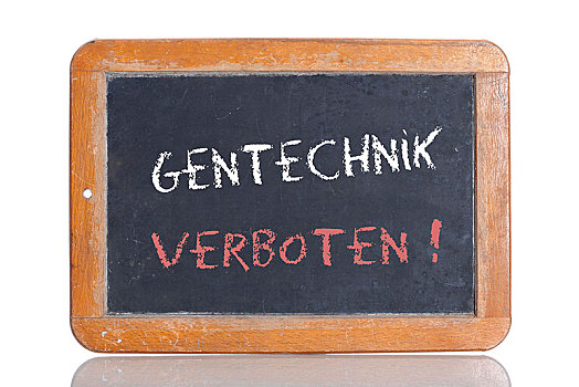 老,学校,黑板,文字,禁止,德国,基因工程