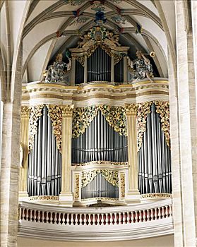 琴乐器,大教堂,萨克森,德国
